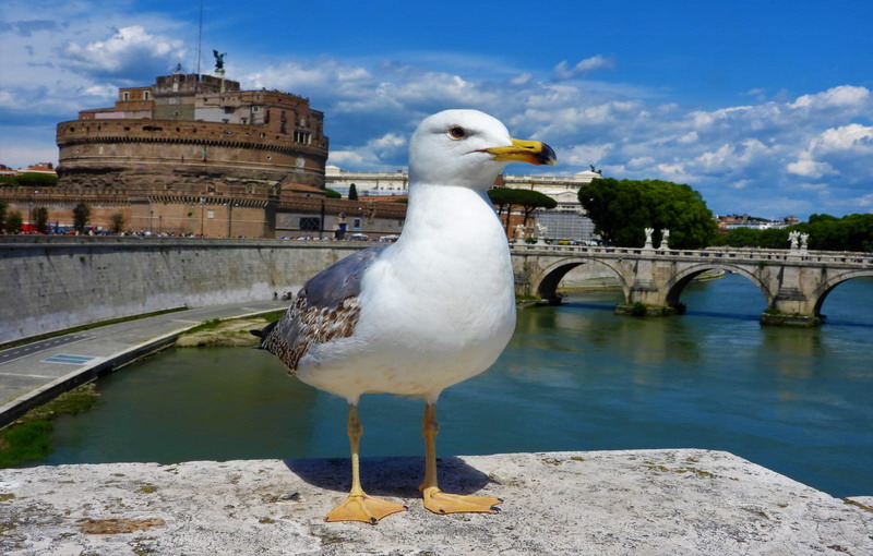 Paesi